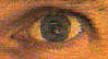 close up view of an eye used as a graphic for search engine