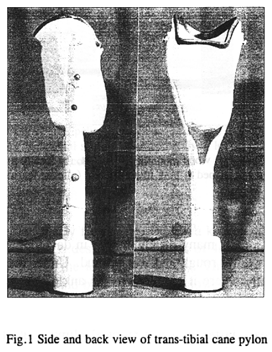 Fig.1 Side and back view of trans-tibial cane pylon
