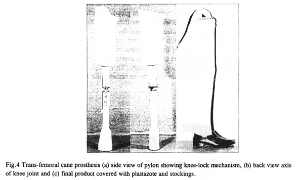 Fig.4 Trans-femoral cane prosthesis