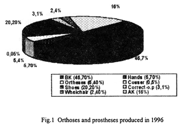 Fig.1 Orthoses and prostheses produced in 1996