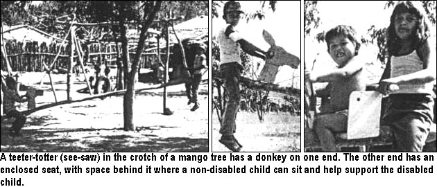 A teeter-totter (see-saw) in the crotch of a mango tree has a donkey on one end. The other end has an enclosed seat, with space behind it where a non-disabled child can sit and help support the disabled child.