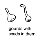 gourds with seeds in them