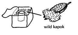 soft rattle-wild kapok