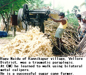 Ragu Naidu of Kannikapur village, Vellore District, was a traumatic paraplegic. At CMC he learned to walk using bilateral metal calipers. He is a successful sugar cane farmer.