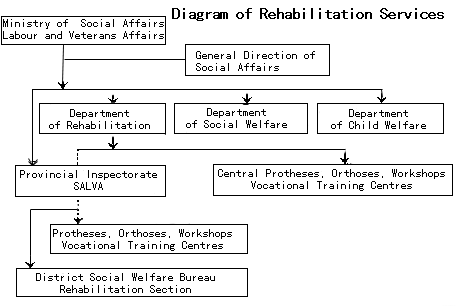 Diagram of Rehabilitation Services.