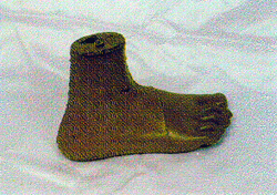 The final shape of the Jaipur Foot.