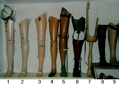 We have nine models of lower-limb prostheses.