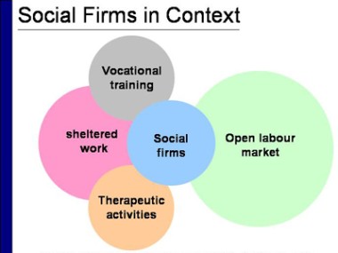 Explanatory chart of social firm in the context of Open labour market,Vocational training,Sheltered work,Therapeutic activities