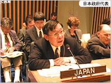 第3回国連障害者の権利条約特別委員会、日本政府代表のイメージ