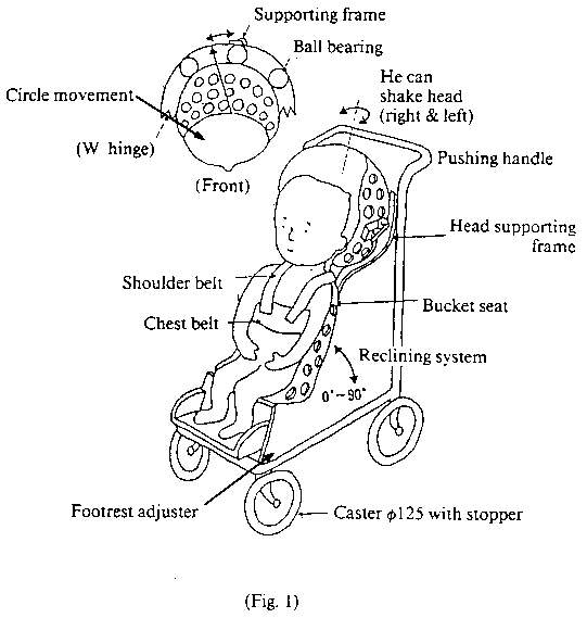 Fig. 1