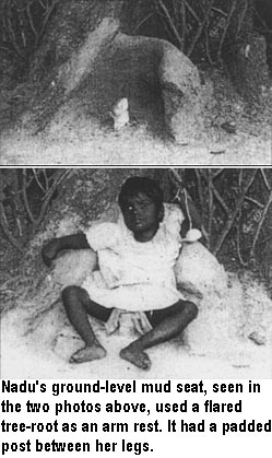 Nadu's ground-level mud seat, seen in the two photos above, used a flared tree-root as an arm rest. It had a padded post between her legs.