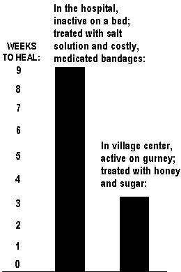 In the hospital, inactive on a bed; treated with salt solution and costly, medicated bandages: 9 weeks to heal. In village center, active on gurney; treated with honey and sugar: 3 weeks to heal.