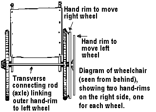 Diagram of wheelchair (seen from behind), showing two hand-rims on the right side, one for each wheel.