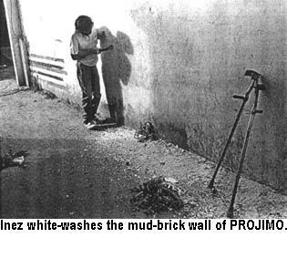 Inez white-washes the mud-brick wall of PROJIMO.