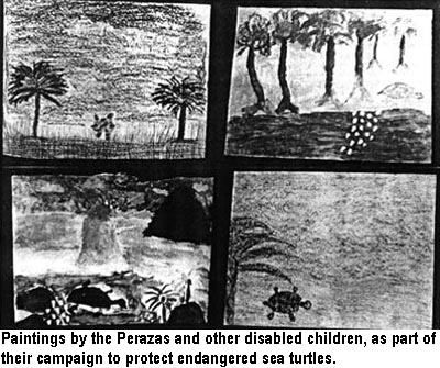 Paintings by the Perazas and other disabled children, as part of their campaign to protect endangered sea turtles.