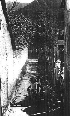 Two little children pushes a wheelchair on the village path.