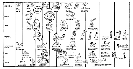 EVALUATING THE PROGRESS OF THE WHOLE CHILD