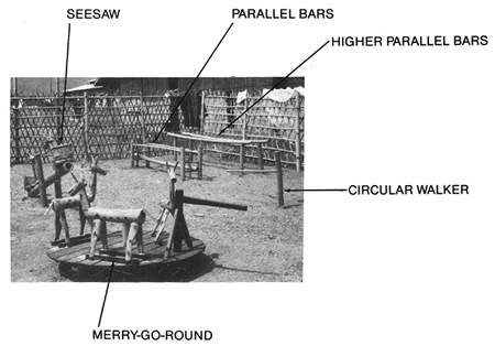 Examples from the 'bamboo playground'