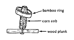 bamboo ring, corn cob, wood plank.