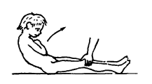 Sitting up with knees straight uses the hip-bending muscles and stomach muscles.