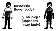 Paraplegia and Quadriplegia.