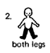 2. both legs