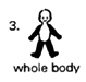 3. whole body