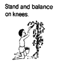 Stand and balance on knees.