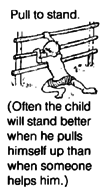Pull to stand. (Often the child will stand better when he pulls himself up than when someone helps him.)