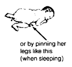 By pinning her legs (when sleeping).