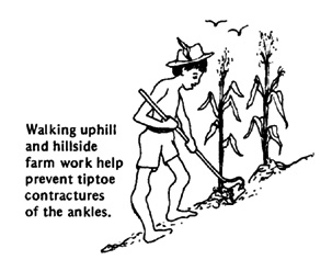 Walking uphill and hillside farm work help prevent tiptoe contractures of the ankles.