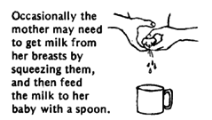 Occasionally the mother may need to get milk from her breasts by squeezing them, and then feed the milk to her baby with a spoon.