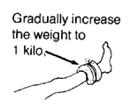 Gradually increase the weight to 1 kilo