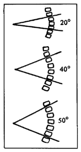 Spinal curves 20, 40, 50.