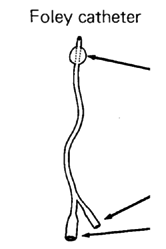 Foley catheter