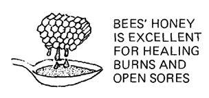 BEES' HONEY IS EXCELLENT.