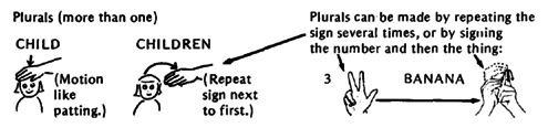 Plurals (more than one)