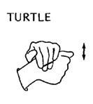 TURTLE