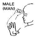 MALE (MAN)