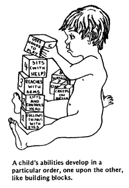 A child's abilities develop in a particular order, one upon the other, like building blocks.