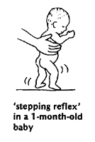 'stepping reflex' in a 1-month-old baby.