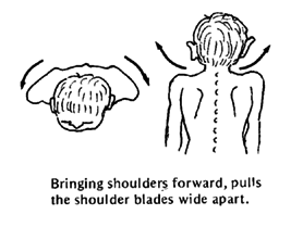 Bringing shoulders forward, pulls the shoulder blades wide apart.