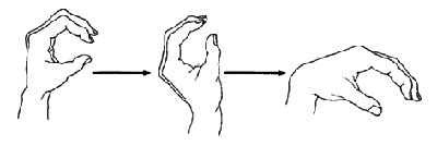 Bend wrist backward and forward.