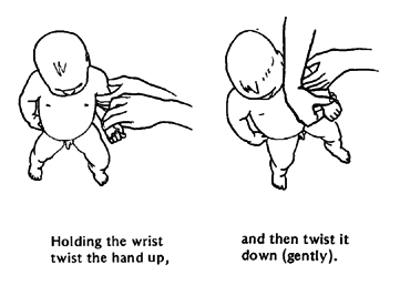 Forearm - twist