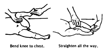 Infant lower extremity range of motion exercises 2025