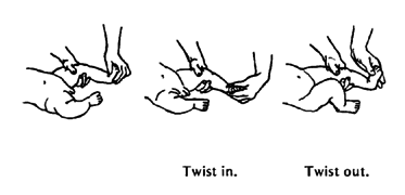 Ankle twisting - in and out.