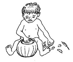 A child can play putting the nuts and pods in and out of a container