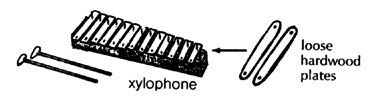 xylophone