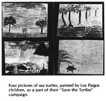 Four pictures of sea turtles, painted by Los Pargos children, as a part of their "Save the Turtles" campaign.