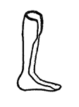A brace that holds the foot up.